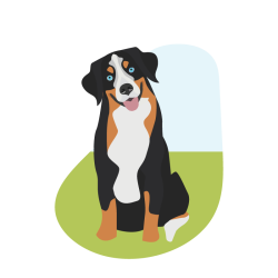 Dog Waste Removal Service in Elk Point